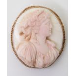 A pink and white conch shell cameo in a yellow metal brooch mount, dimensions 4cm x 3.5cm, weight