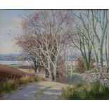 DONALD SHEARER Dornoch Firth, signed,, oil on canvas, 25 x 29cm Condition Report:Available upon