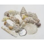 A collection of mixed seashells  Condition Report:Available upon request