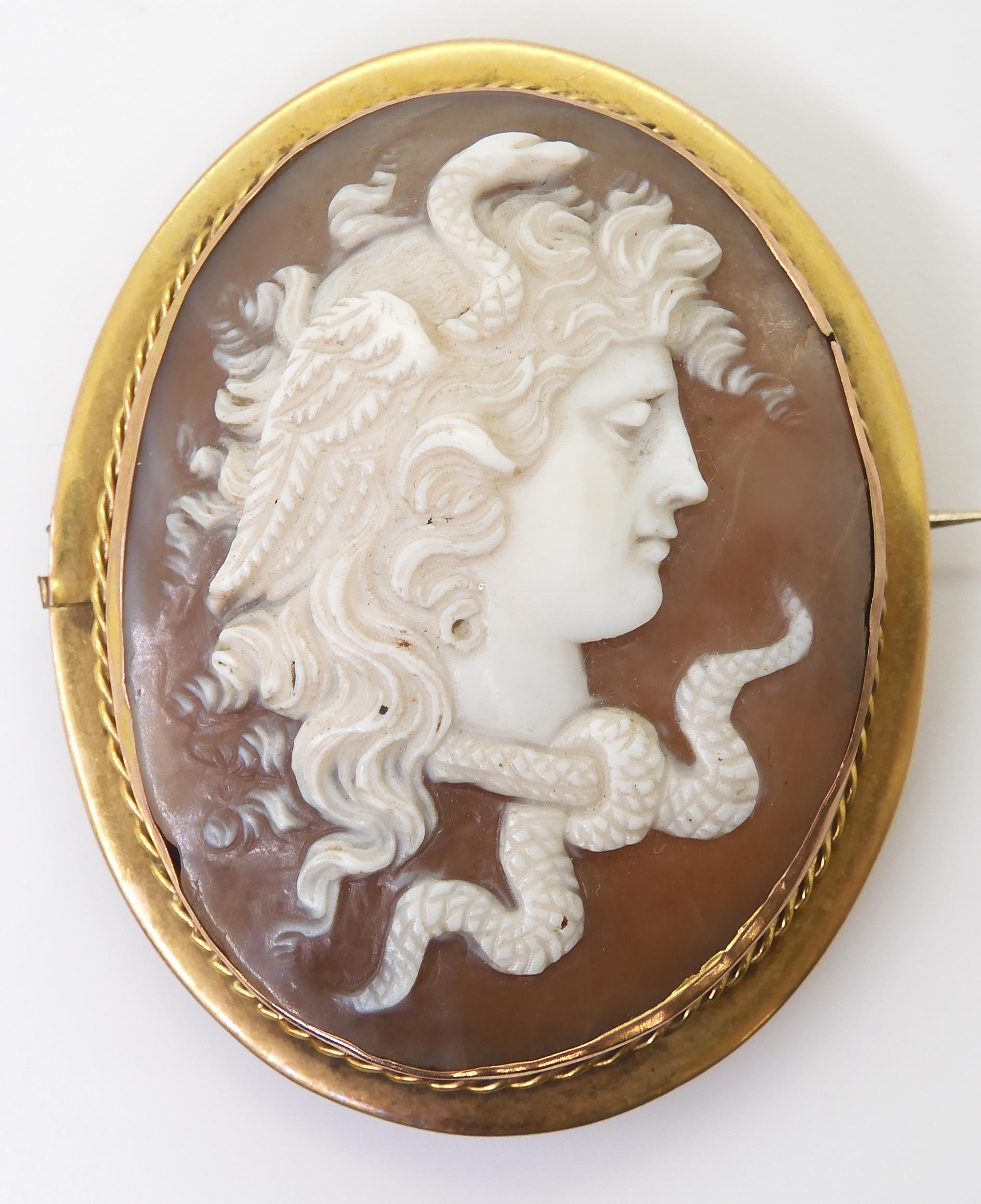 A well carved shell cameo depicting the head of Medussa, in a yellow metal brooch mount.