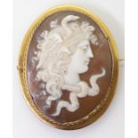 A well carved shell cameo depicting the head of Medussa, in a yellow metal brooch mount.