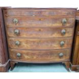 A Victorian mahogany bow front chest of five drawers with single frieze drawer over four regular,