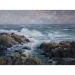DONALD SHEARER Coastline, signed, oil on canvas, 59 x 79cm Condition Report:Available upon request