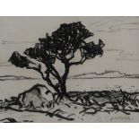 ERNEST ARCHIBALD TAYLOR (SCOTTISH 1874-1951) A TREE Charcoal on paper, signed lower right, 15.5 x