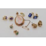 A pink and white conch shell cameo in a 9ct gold mount, together with five pairs of earrings, to