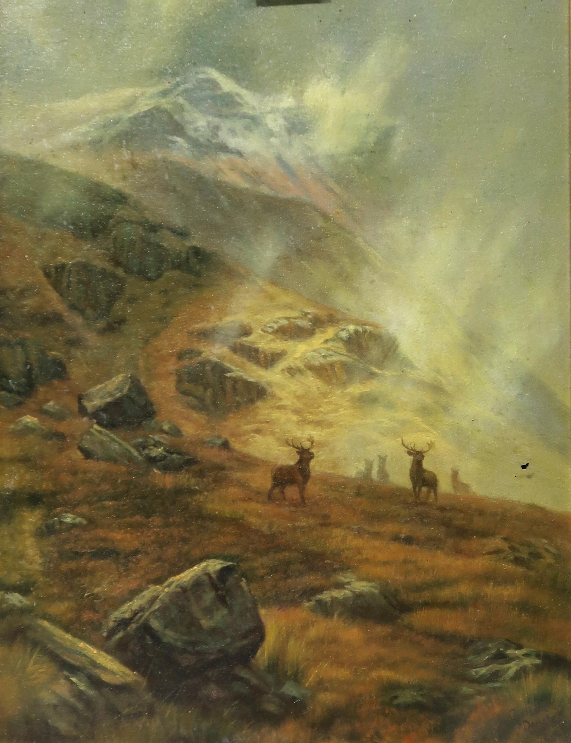 CAMERON DOUGLAS Deer in a mountainous glen, signed, oil on canvas, 41 x 30cm  Condition Report: