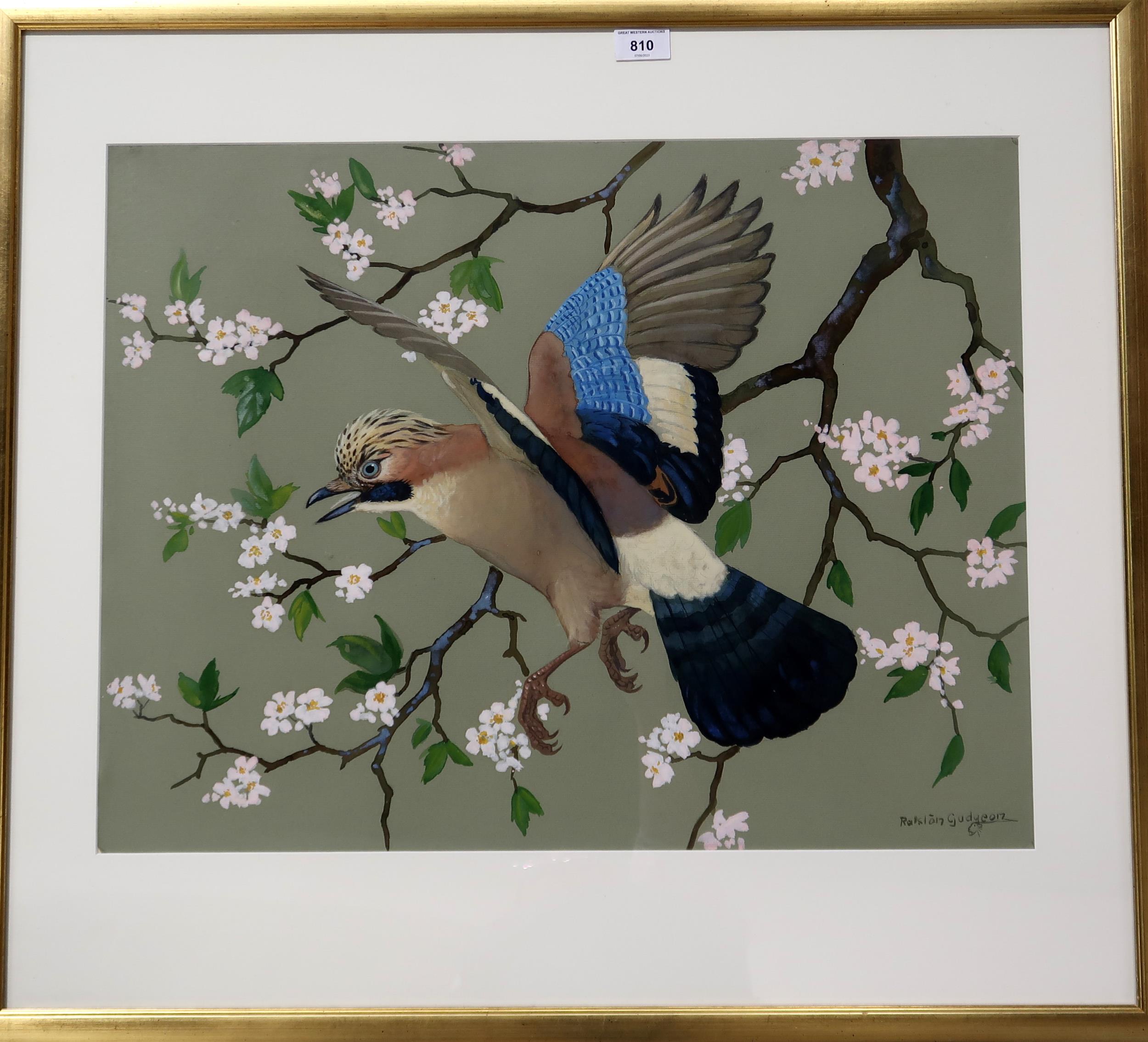 RALSTON GUDGEON RSW Magpie and blossom, signed, watercolour, 49 x 63cm Condition Report:Available - Image 2 of 3