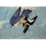 RALSTON GUDGEON RSW Peregrine Falcon and tufted duck, signed, gouache, 46 x 62cm Condition Report: