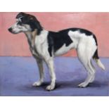ROBIN PAINE (KENYAN) TEMPLE DOG. SRI LANKA Oil on canvas, signed lower right, 35 x 45cm Titled and