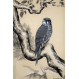 SAMARA VEERA  FALCON Charcoal, signed lower right, 59 x 39cm Together with a similar by the same