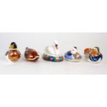 FIVE ROYAL CROWN DERBY PAPERWEIGHTS including Swan, Mandarin Duck, Mallard Duck, Coot and duck,