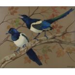 RALSTON GUDGEON RSW (SCOTTISH 1910-1984) TWO MAGPIES Watercolour on brown paper, signed lower right,