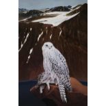 PETER GOODFELLOW (BRITISH 1950-2022) GYR FALCON Oil on gesso panel, 99 x 65cm (39 x 25.5") Condition