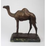 CECIL BROWN (1868-1926)  A bronze of a camel, upon marble base, incised signature to base, 23cm high