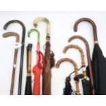 An assortment of 20th century umbrellas and walking sticks, including horn and bamboo-handled