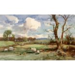 TOM CAMPBELL (SCOTTISH 1865-1943) GRAZING SHEEPS Watercolour, signed lower left, 12 x 21cm