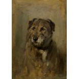 CONTINENTAL SCHOOL  PORTRAIT OF A DOG Oil on board, indistinctly signed lower left, 27.5 x 20cm