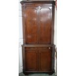 A 20th century mahogany corner drinks cabinet with dentil cornice over pair of panel door concealing