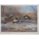 AFTER ARCHIBALD THORBURN Woodcock, signed, print, 31 x 40cm and wigeon in flight (2) Condition