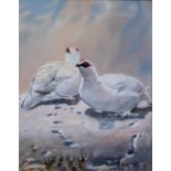 DAVID CARLISLE Ptarmigan, signed, acrylic on canvas, 25 x 19cm Condition Report:Available upon