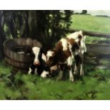 DAVID GAULD RSA (SCOTTISH 1865-1936) AYRSHIRE CALVES Oil on canvas, signed lower right, 50 x 60cm (