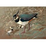 RALSTON GUDGEON RSW (SCOTTISH 1910-1984) LAPWINGS  Watercolour, signed lower right, 31 x 43cm (12.25