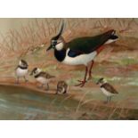 RALSTON GUDGEON RSW (SCOTTISH 1910-1984) LAPWINGS BY WATER Watercolour, signed lower right, 37 x