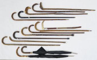 A assorted walking sticks, to include an example with a well-carved horse's head handle, another