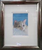 DAVID M. MARTIN (SCOTTISH 1922-2018)  PORTRAIT OF A CAT  Mixed media on paper, signed lower right,