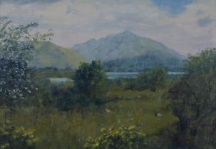 GORDON ADAMS (SCOTTISH CONTEMPORARY)  LOCH ETIVE AND BEN CRUACHAN FROM CONNEL  Oil on canvas, signed