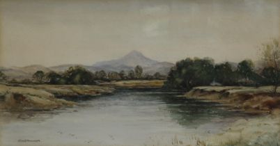 JOHN GEORGE MATHIESON Scottish river landscape, signed, watercolour, 26 x 49cm Condition Report: