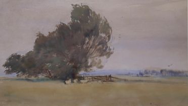 ATTRIBUTED TO EILEEN SOPER Sheep in the water meadows,watercolour, 24 x 32cm  Condition Rep