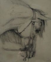 CONTINENTAL SCHOOL   PORTRAIT OF A HORSE  Pencil on paper, signed lower right, dated 1899, 42 x 35cm