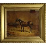 Allen Culpepper Sealy (English, 1850-1927), 'Sans Souci', A Bay Stallion, oil, 64 x 76cm