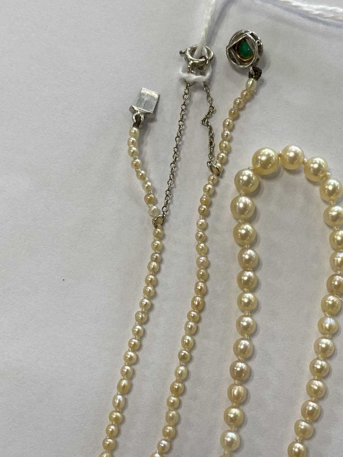 An untested graduated seed pearl necklace - Image 6 of 8