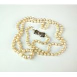 A graduated untested pearl necklace