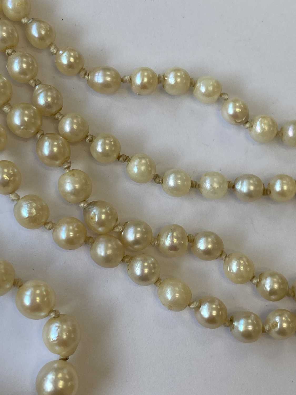 A graduated untested pearl necklace - Image 8 of 10