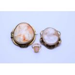 Two shell cameo brooches and a shell cameo ring