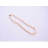 A uniform freshwater cultured pearl necklace