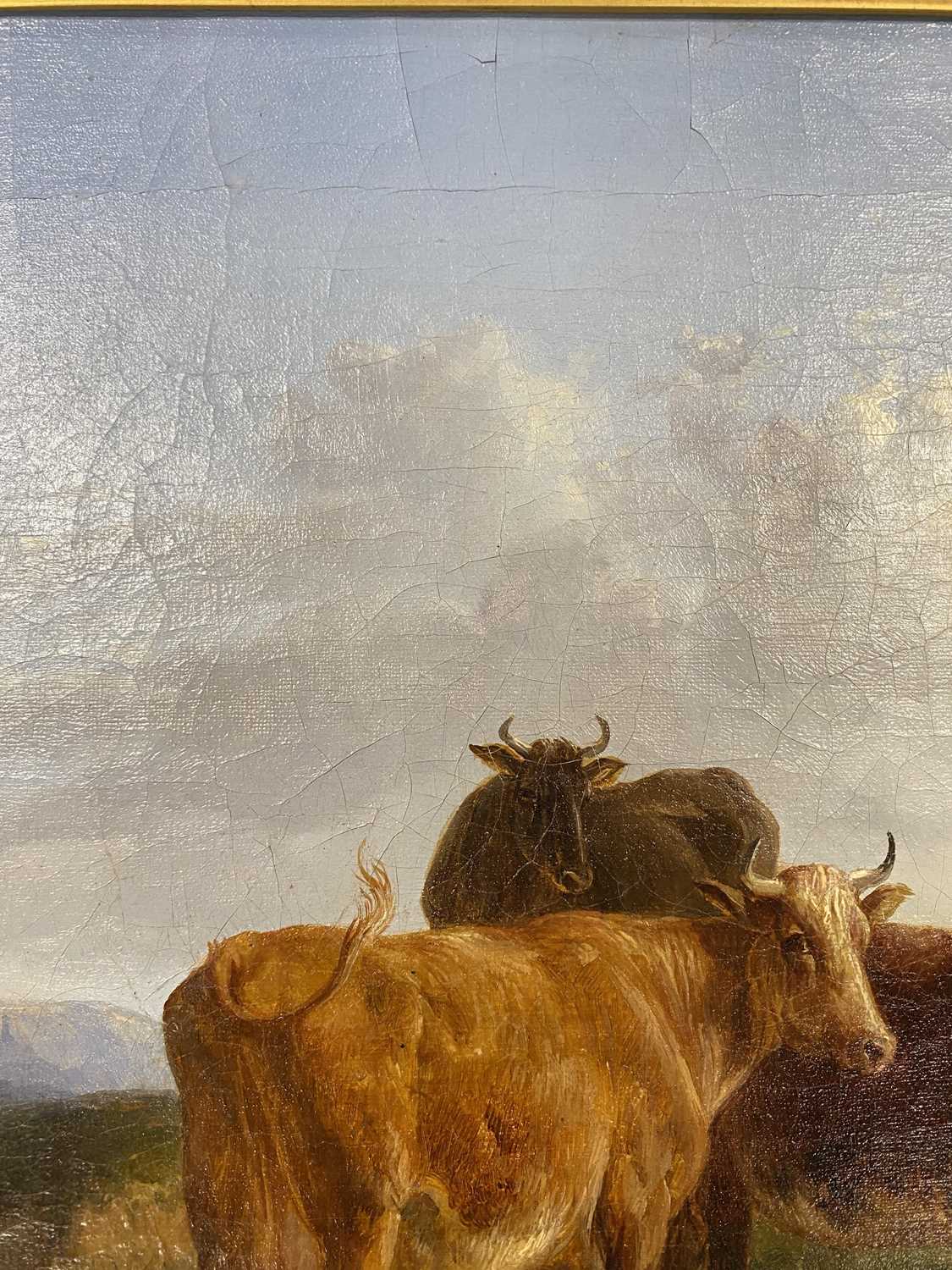 Thomas Sidney Cooper RA (1803-1902) Three Cows Watering in a Dune Landscape - Image 8 of 15