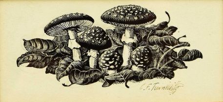 Charles Frederick Tunnicliffe RA OBE (1901-1979) Mushrooms