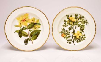 Pair of Derby botanical plates, circa 1795-1800