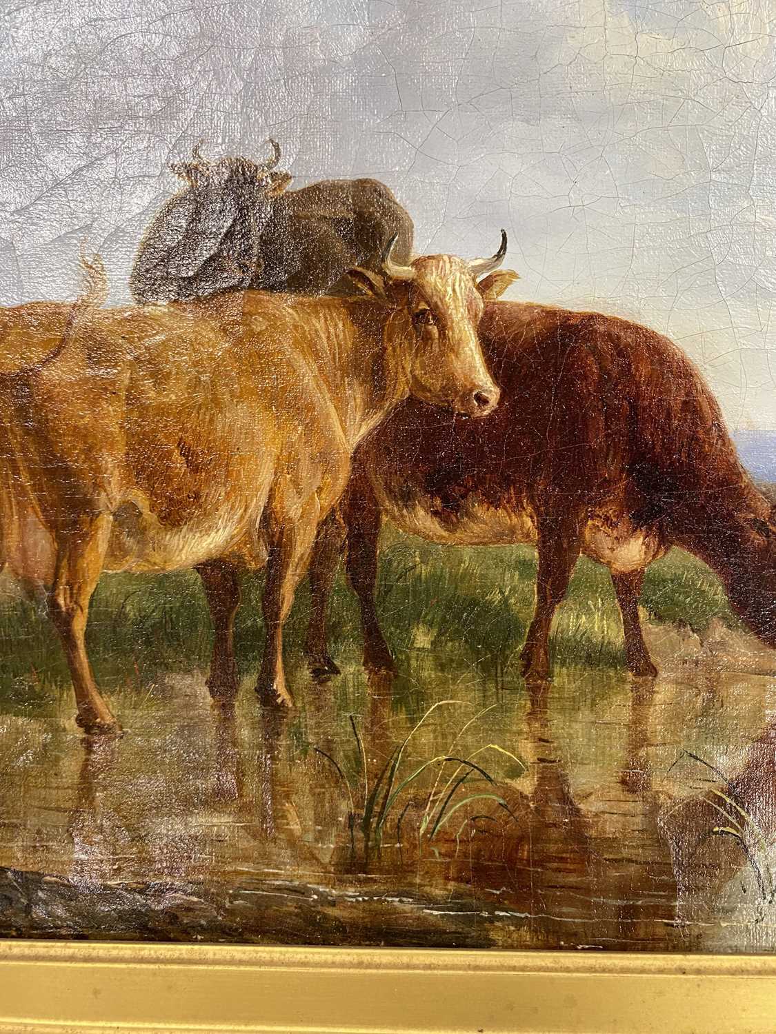 Thomas Sidney Cooper RA (1803-1902) Three Cows Watering in a Dune Landscape - Image 10 of 15
