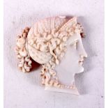 AN ANTIQUE SHELL CAMEO OF THE EMPRESS PATRICIUS HANNAMAS. 2.4cm x 2.2cm