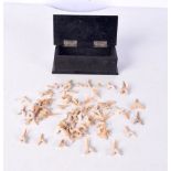 A collection of 89 Sharks Teeth in a box (Qty).