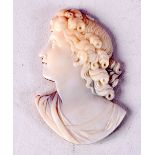 AN ANTIQUE SHELL CAMEO OF ROMAN EMPEROR. 3.8cm x 2.8cm