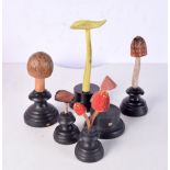 A collection of wooden mycology specimens 19 cm (6)