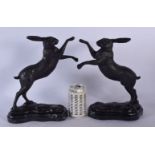 A PAIR OF CONTEMPORARY BRONZE BOXING HARES. 32 cm x 18 cm.