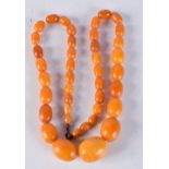 AN AMBER BEAD NECKLACE. 62cm long, largest bead 21mm, weight 56g