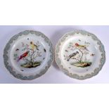 A PAIR OF 19TH CENTURY MEISSEN ORNITHOLOGICAL PLATES painted with birds. 20 cm wide.